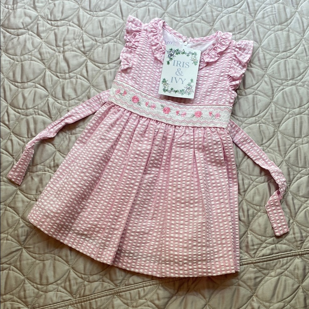 Charming 2T Iris & Ivy Floral Pink Dress